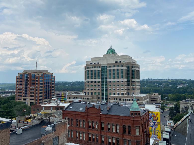 Rooftop view of albany buildings