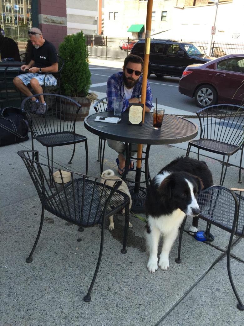 Dogs and man sit on patio