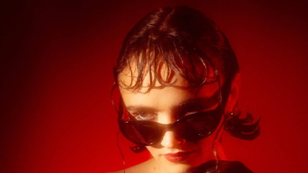 Close up of Sir Chloe