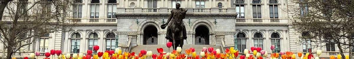 Albany Capitol building with red and yellow tulips in front