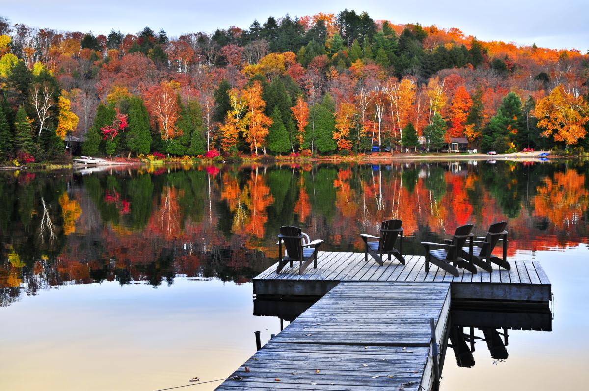 Fall trees and lake with dock