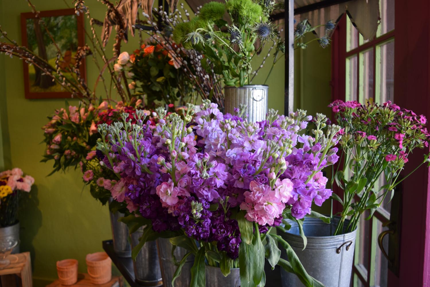 bouquet of purple flowers