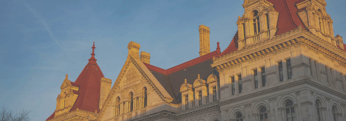 NYS Capitol roof