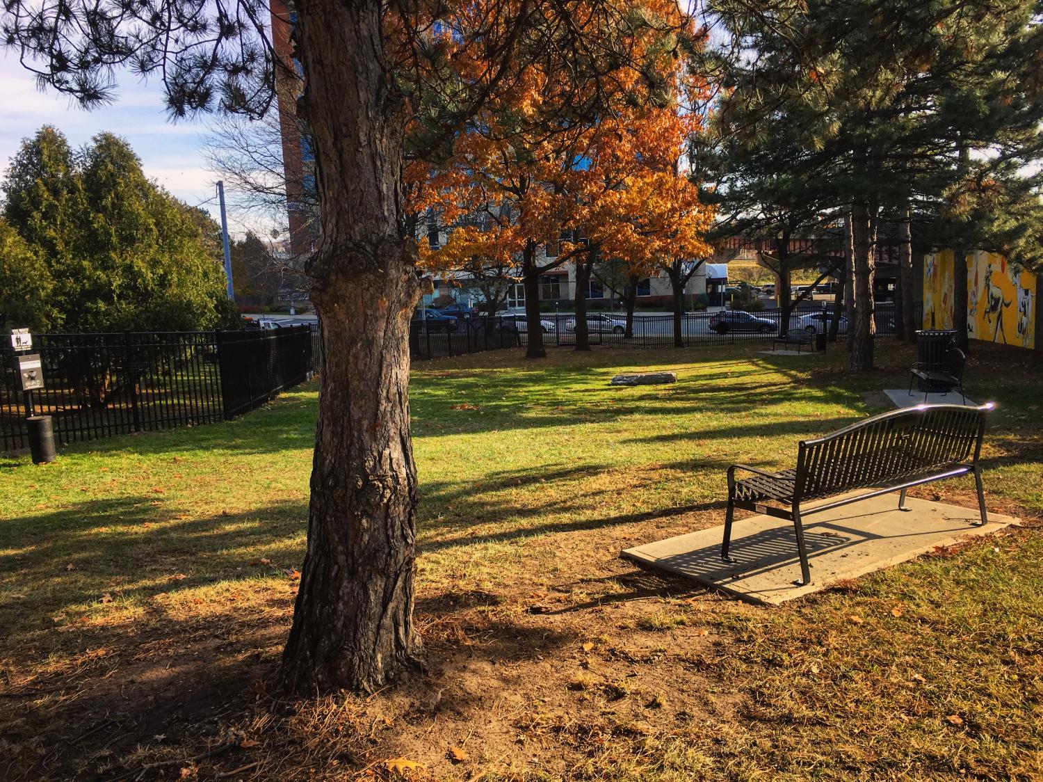 photo of dog park with a bench, trees and a gate