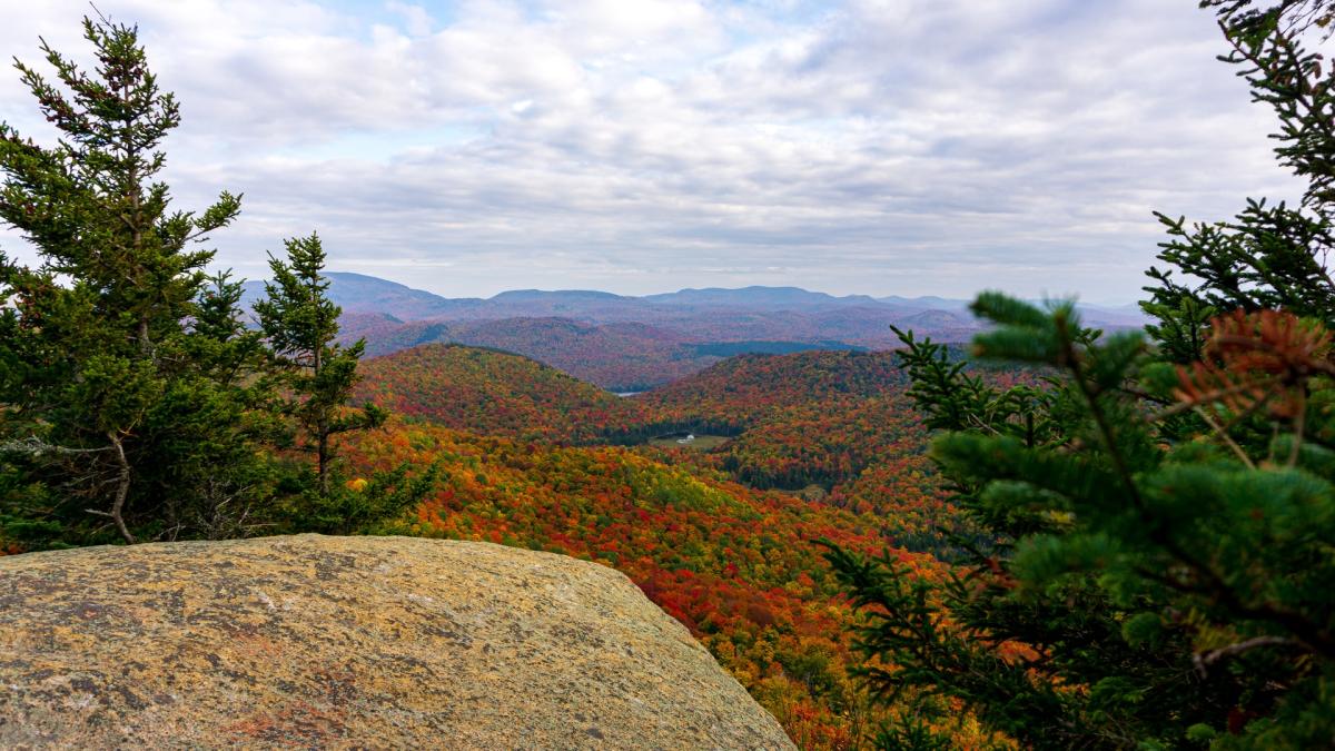 Autumn color in the Adirondacks