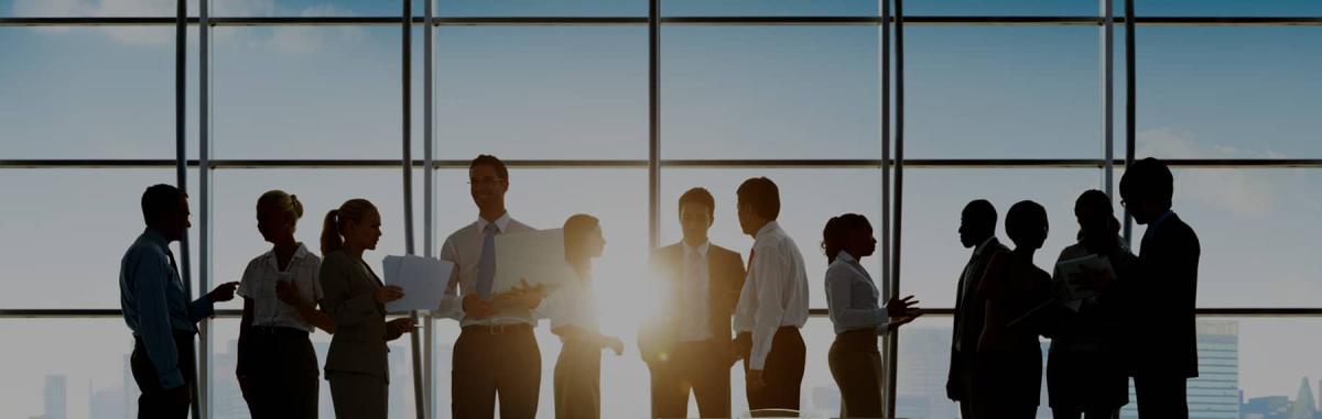 Silhouettes of business people talking in groups in front of sunny window with skyline