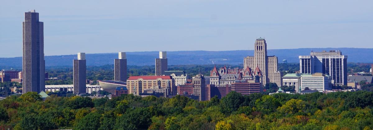 Green tree tops with Albany skyline in background