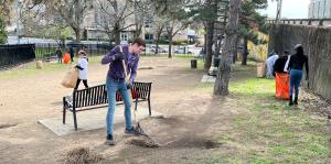 People rake and bag leaves in park for Earth Day cleanup