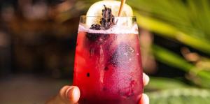 Hand holds glass with red beverage and cinnamon and lemon garnish