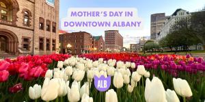 Tulip graphic with "Mother's Day in Downtown Albany" overlay