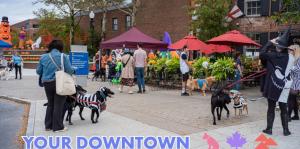 Downtown Guide to Fall Graphic