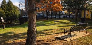 photo of dog park with a bench, trees and a gate