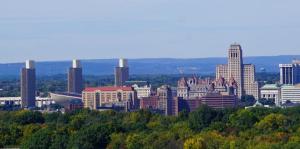 Green tree tops with Albany skyline in background