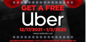 Holidays in Downtown Albany Flyer