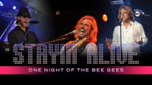 Stayin' Alive: One Night of the Bee Gees