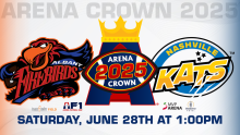 Albany Firebirds Graphic