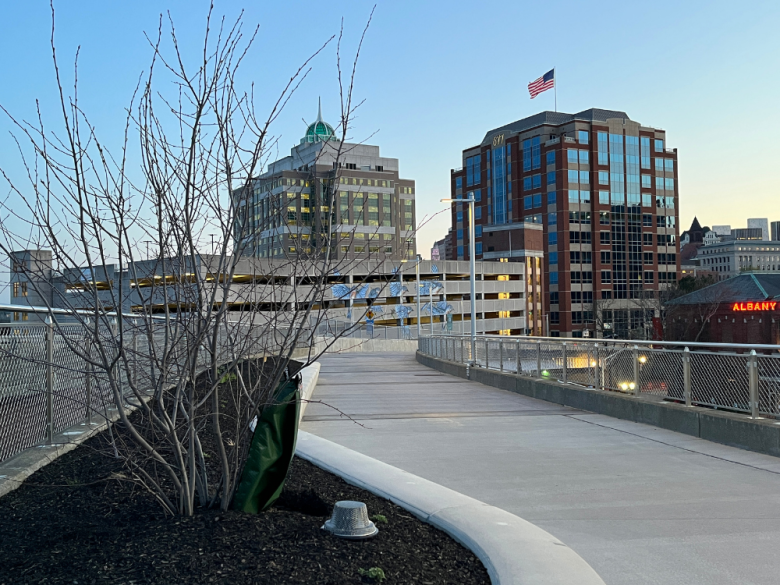 Picture of Albany Skyway