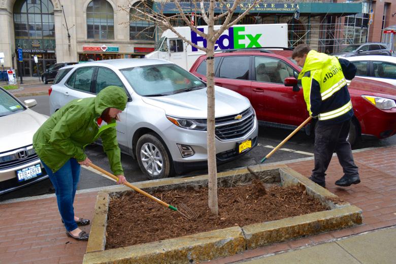 Executive Director and Clean Team supervisor rake the tree bed along the sidewalk on State Street