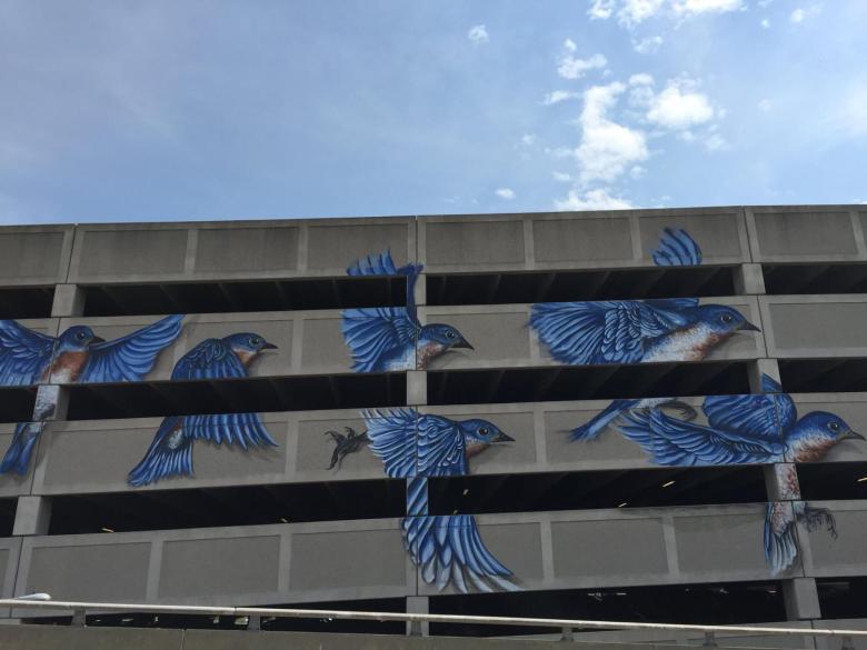 Michael Conlin Mural Capital Walls